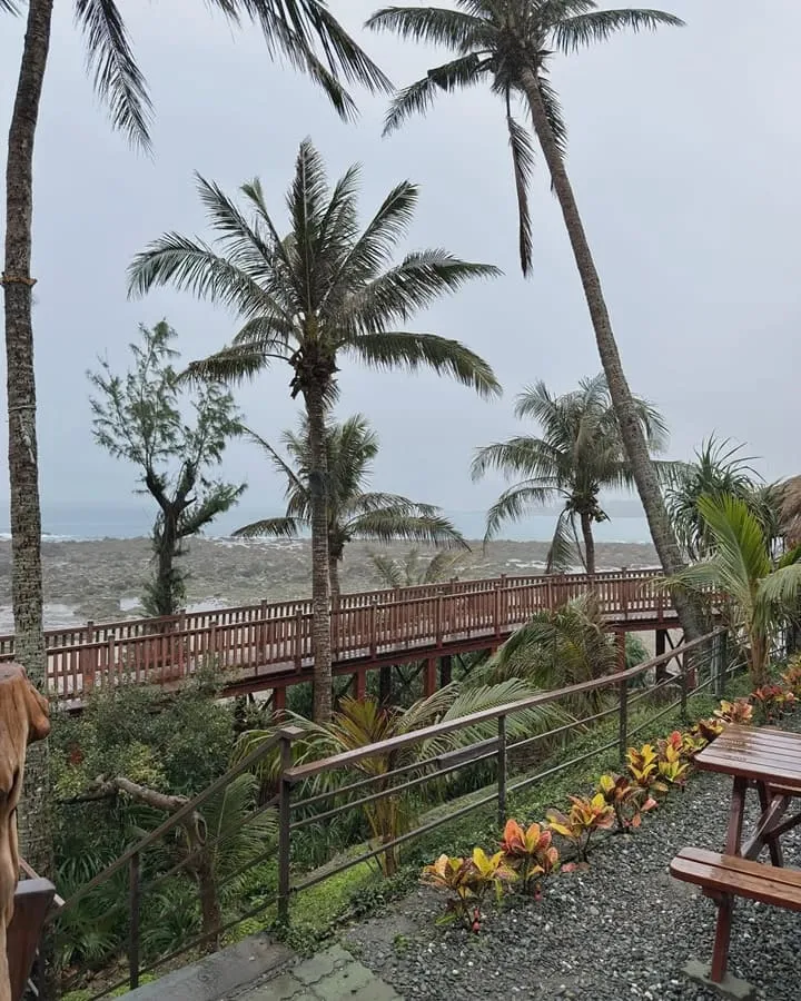 可可娜咖啡Coconut Cafe