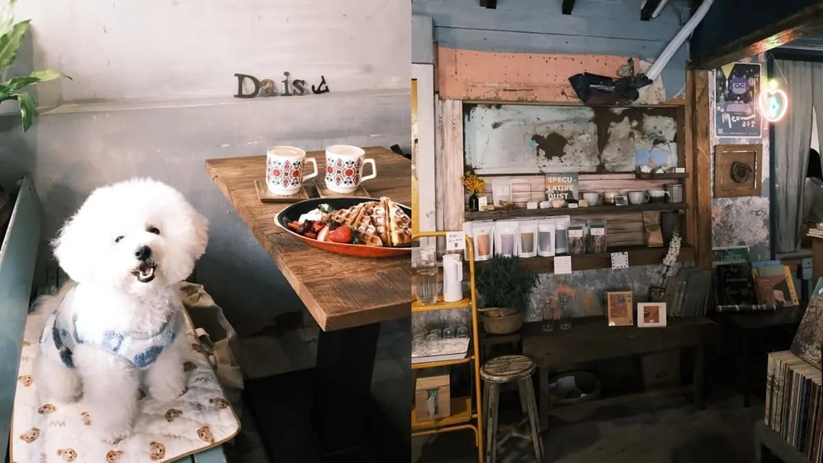 Daisy的雜貨店