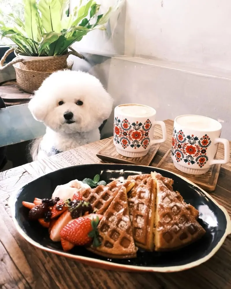 Daisy的雜貨店