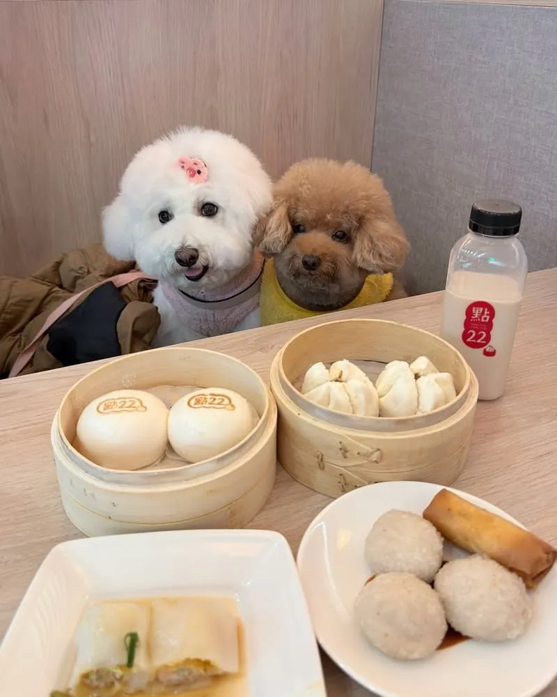 點22港式點心專賣店桃園中山店