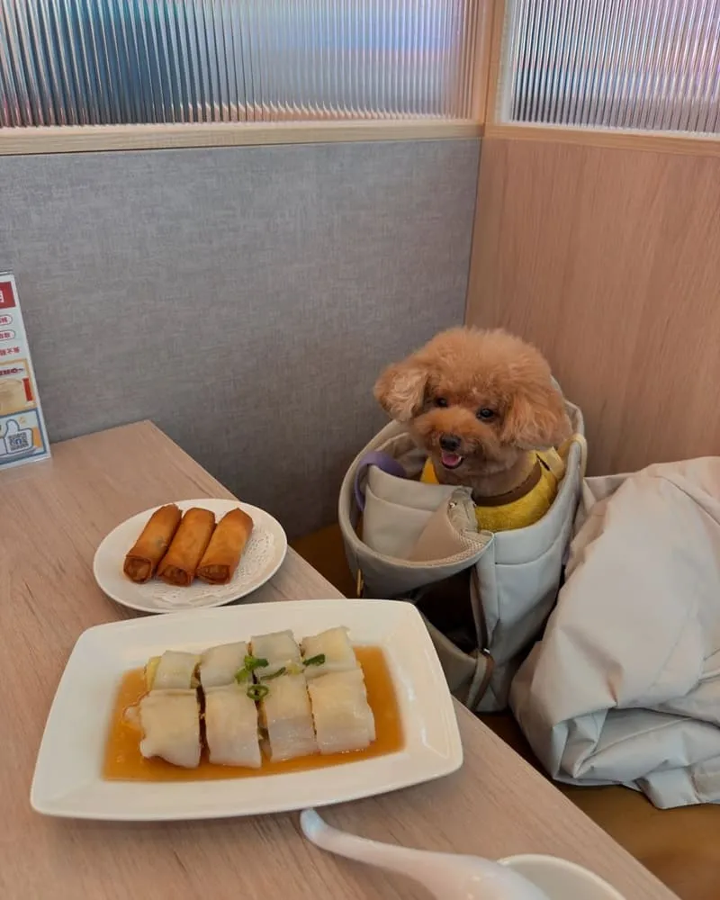 點22港式點心專賣店桃園中山店