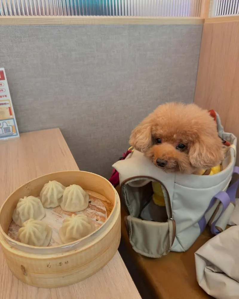 點22港式點心專賣店桃園中山店
