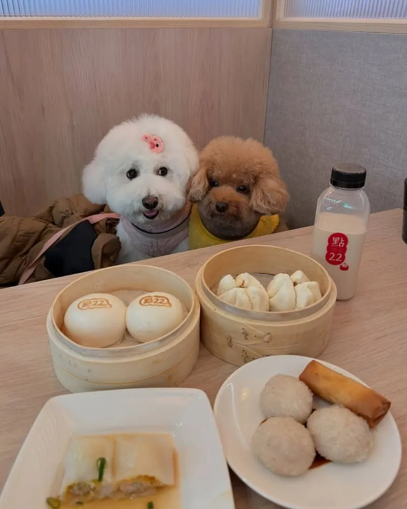 點22港式點心專賣店桃園中山店