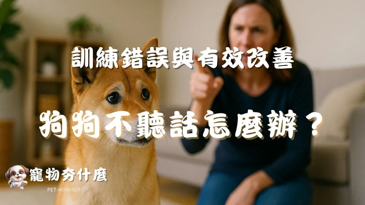 狗狗不聽話怎麼辦？