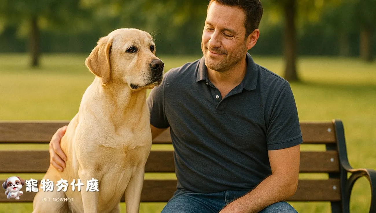 拉布拉多犬與主人互動信任