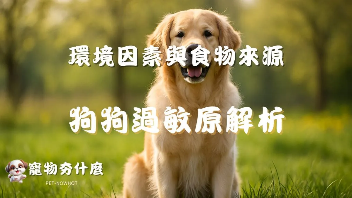 狗狗過敏原解析