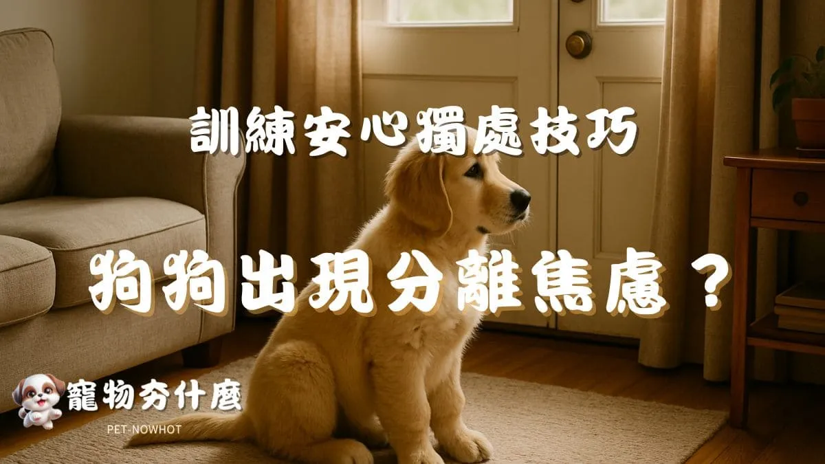 狗狗出現分離焦慮？
