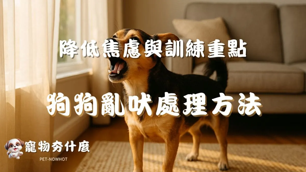 狗狗亂吠處理方法