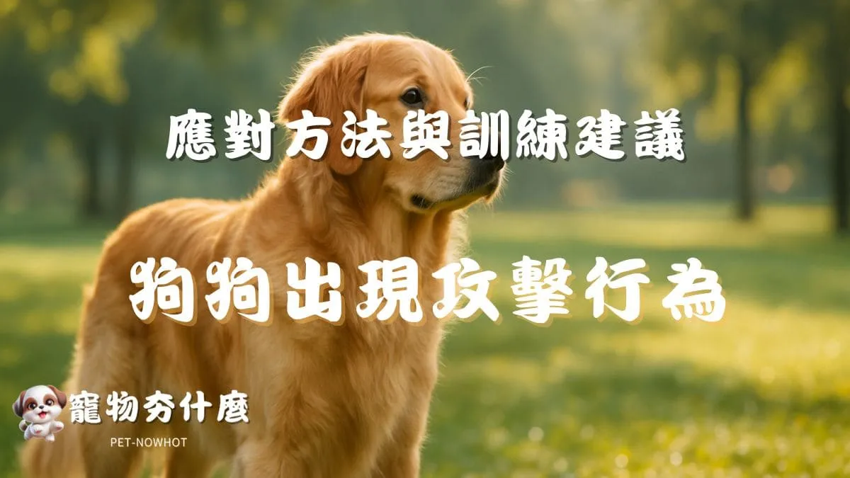 狗狗出現攻擊行為？