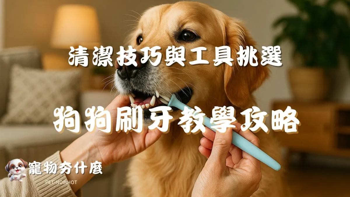 狗狗刷牙教學全攻略