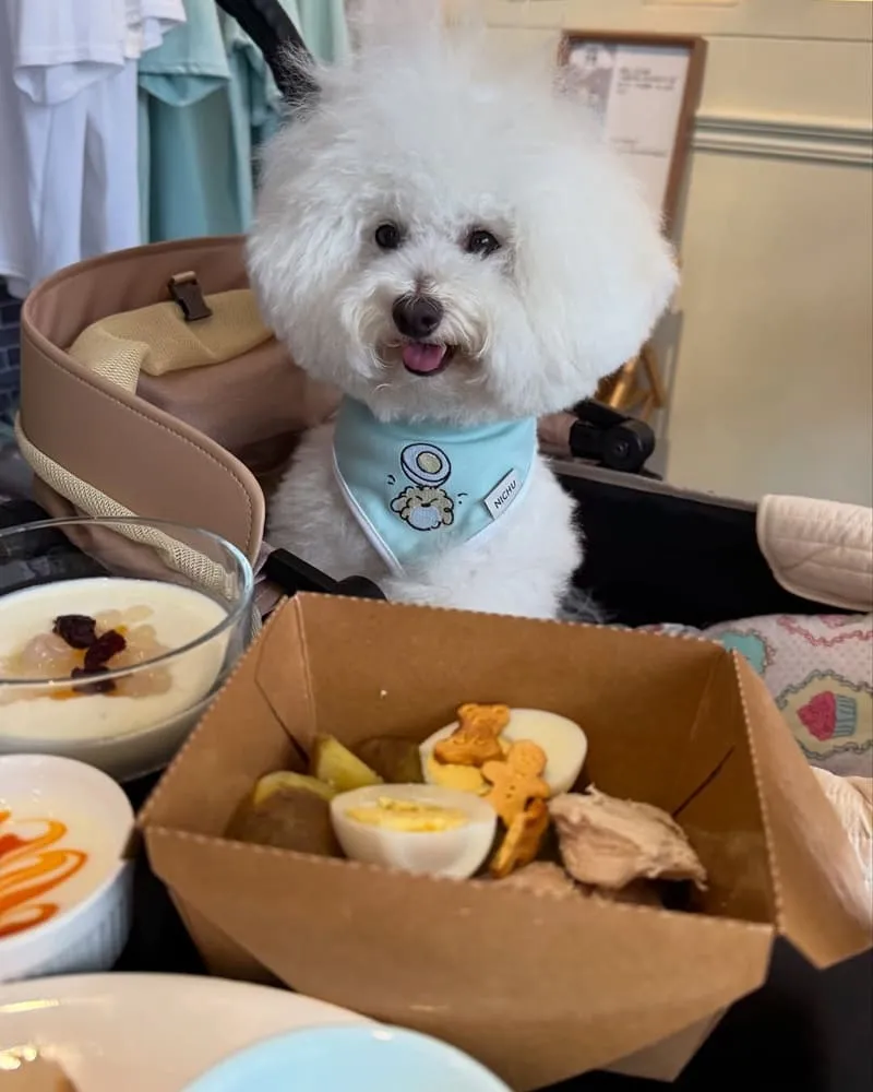 CS Brekkie寵物友善早午餐