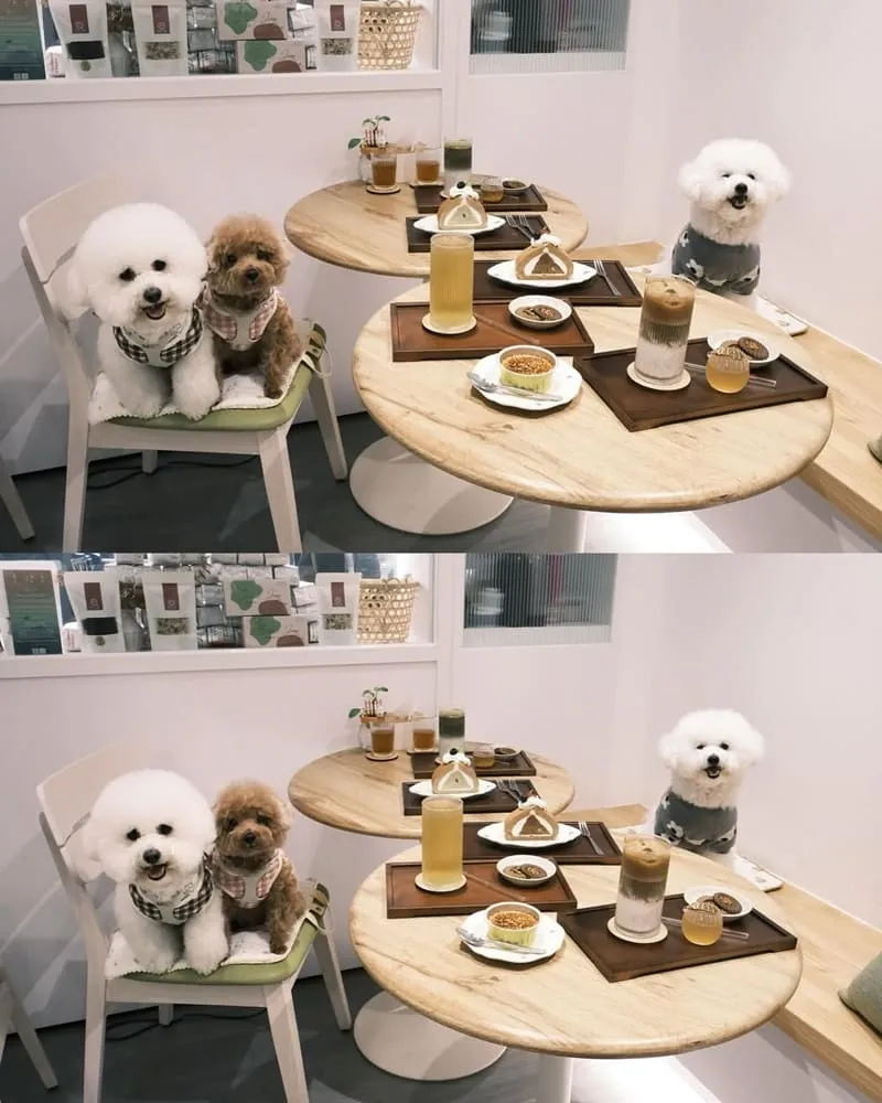 嘉義甜茶小姐