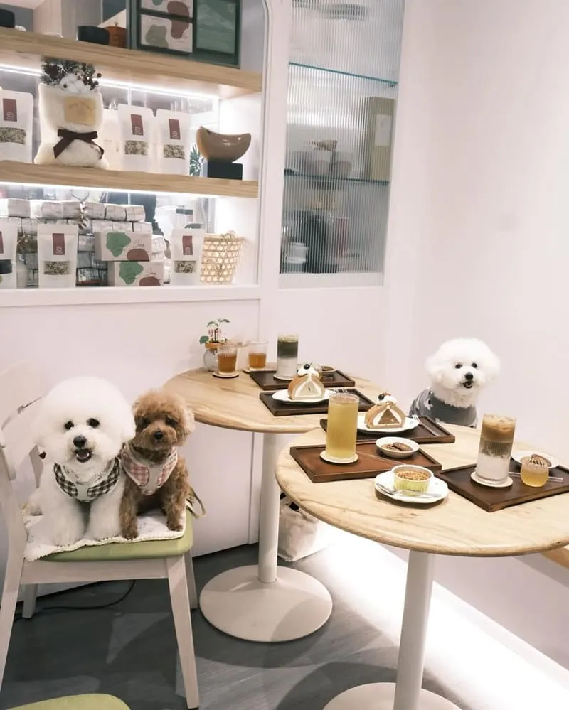 嘉義甜茶小姐
