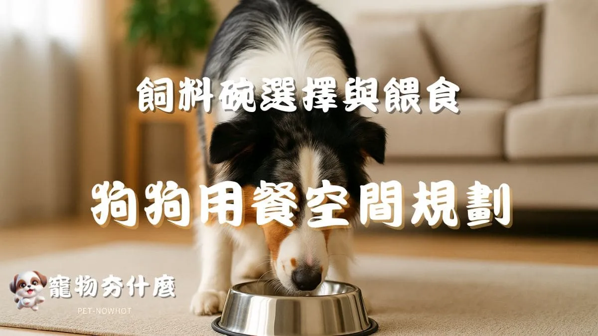 狗狗用餐空間規劃