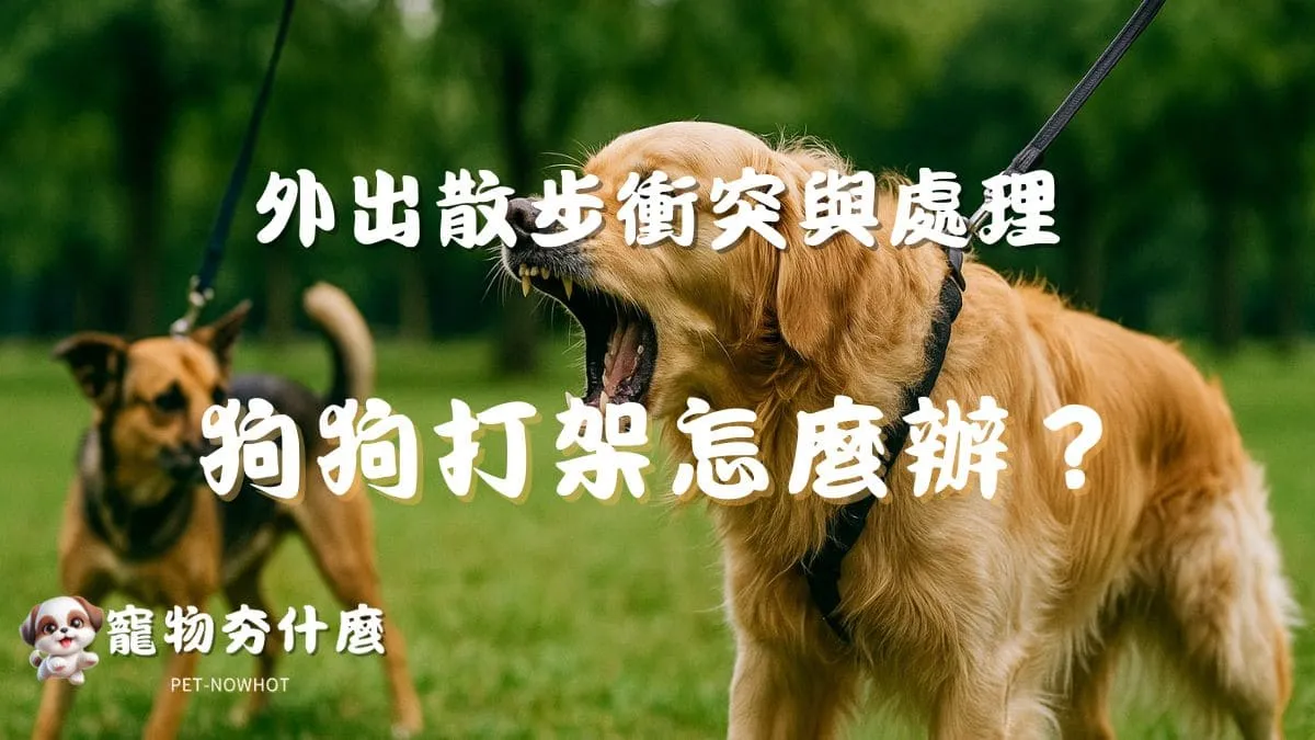 狗狗打架怎麼辦？
