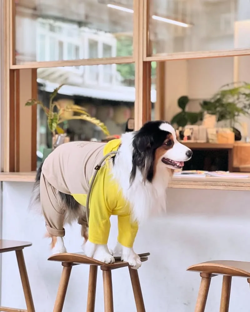 山小孩咖啡六張犁店