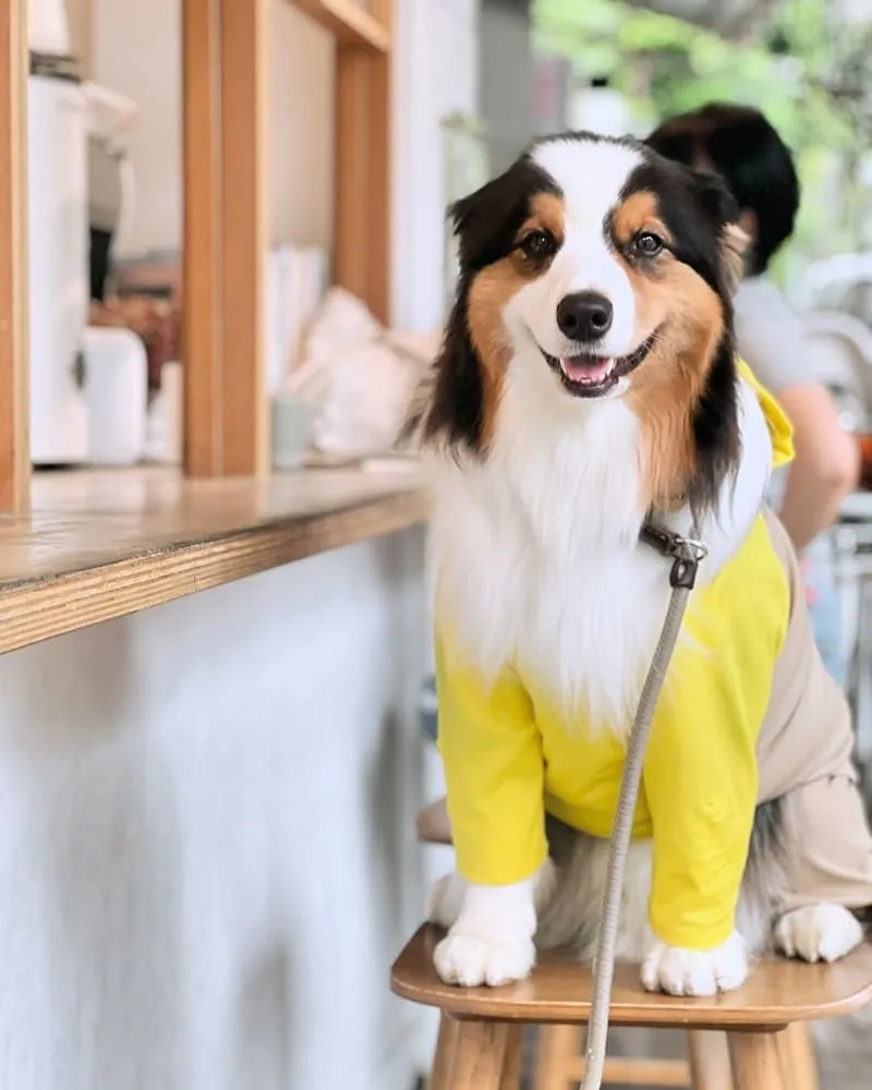 山小孩咖啡六張犁店