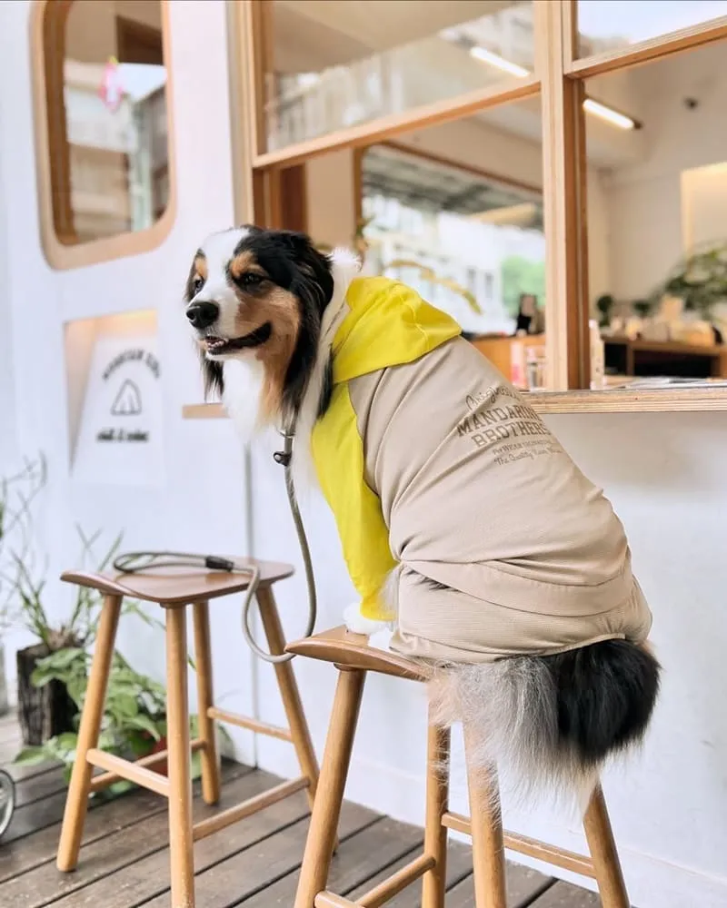 山小孩咖啡六張犁店