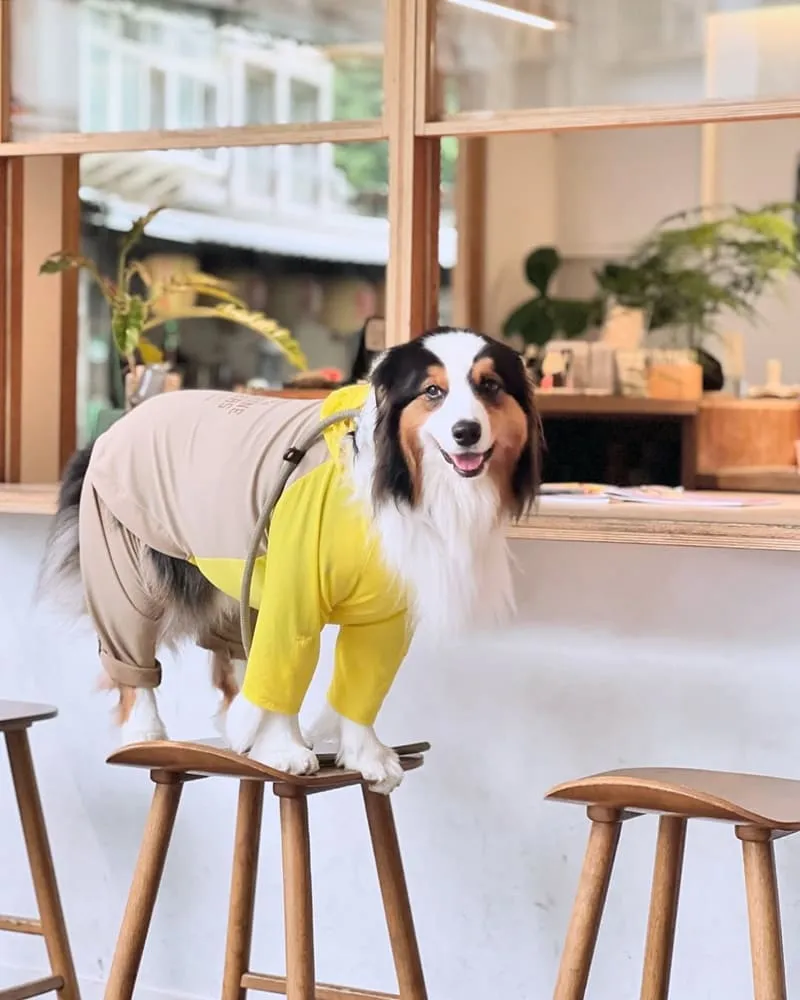 山小孩咖啡六張犁店
