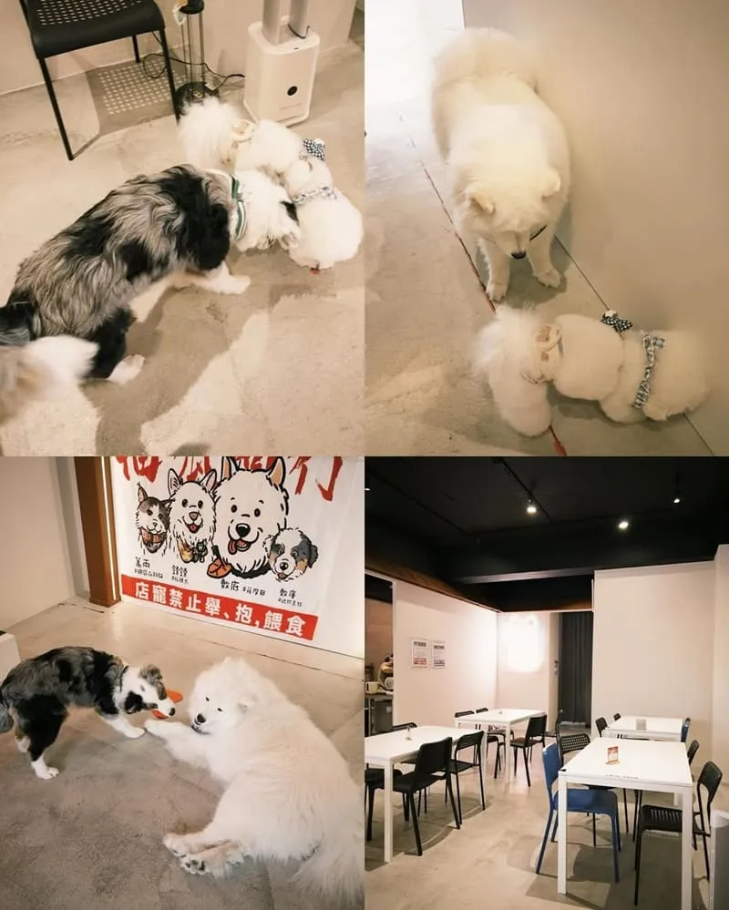 福呱商行