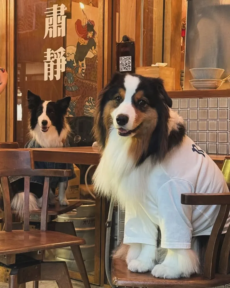 弍佃関東煮