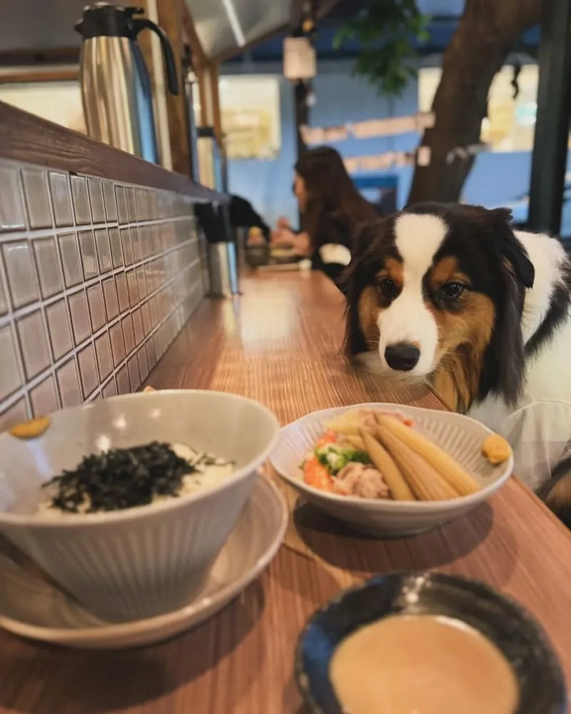 弍佃関東煮