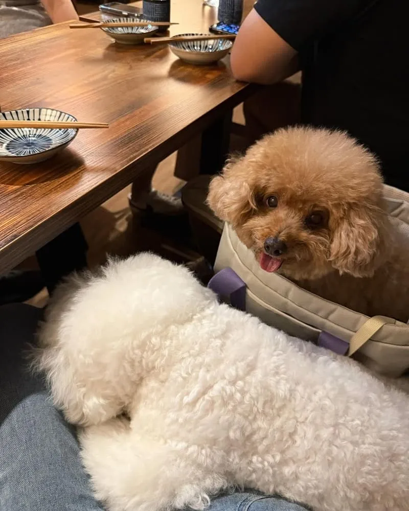 三五亭串燒小酒館