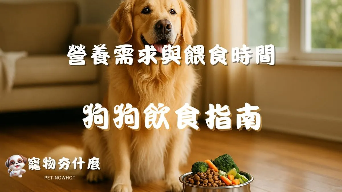 狗狗飲食指南