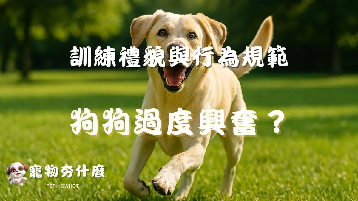 狗狗過度興奮怎麼辦？