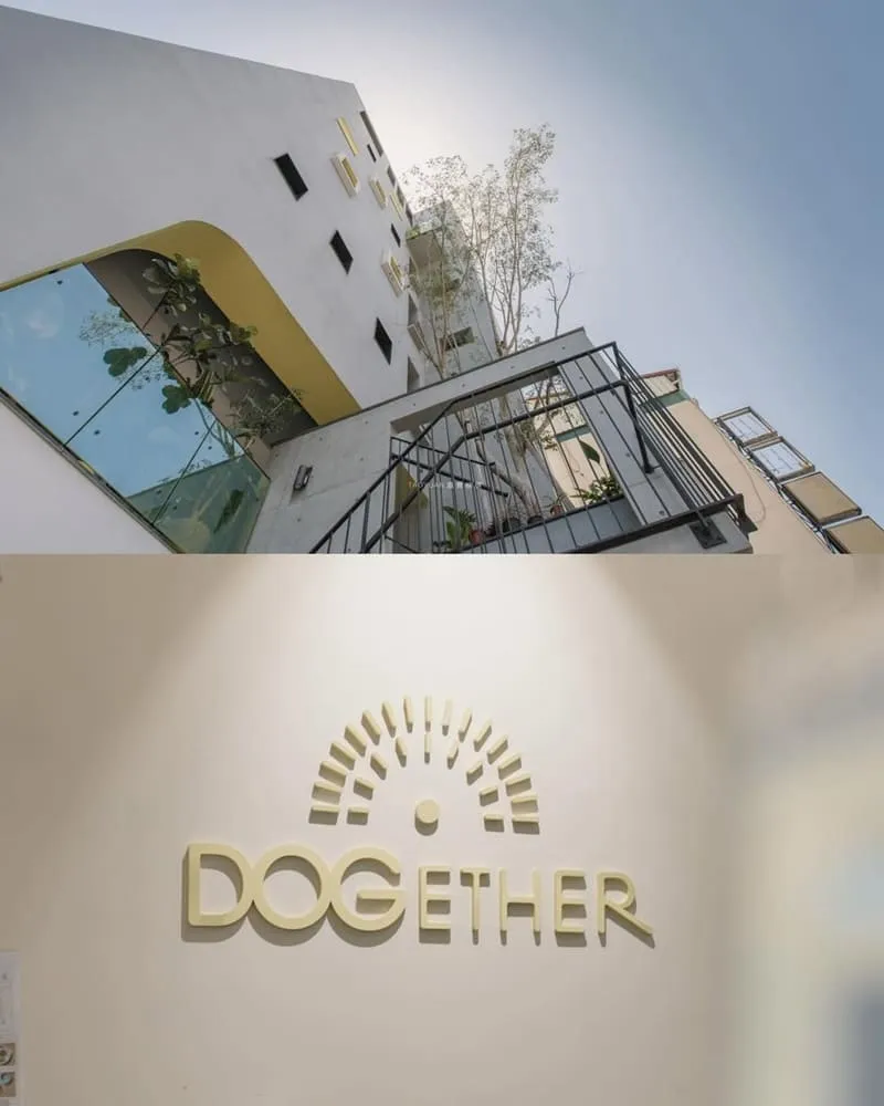 多野樂旅館 Dogether Hotel