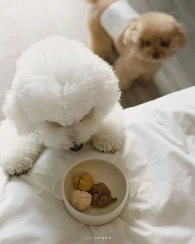 多野樂旅館 Dogether Hotel