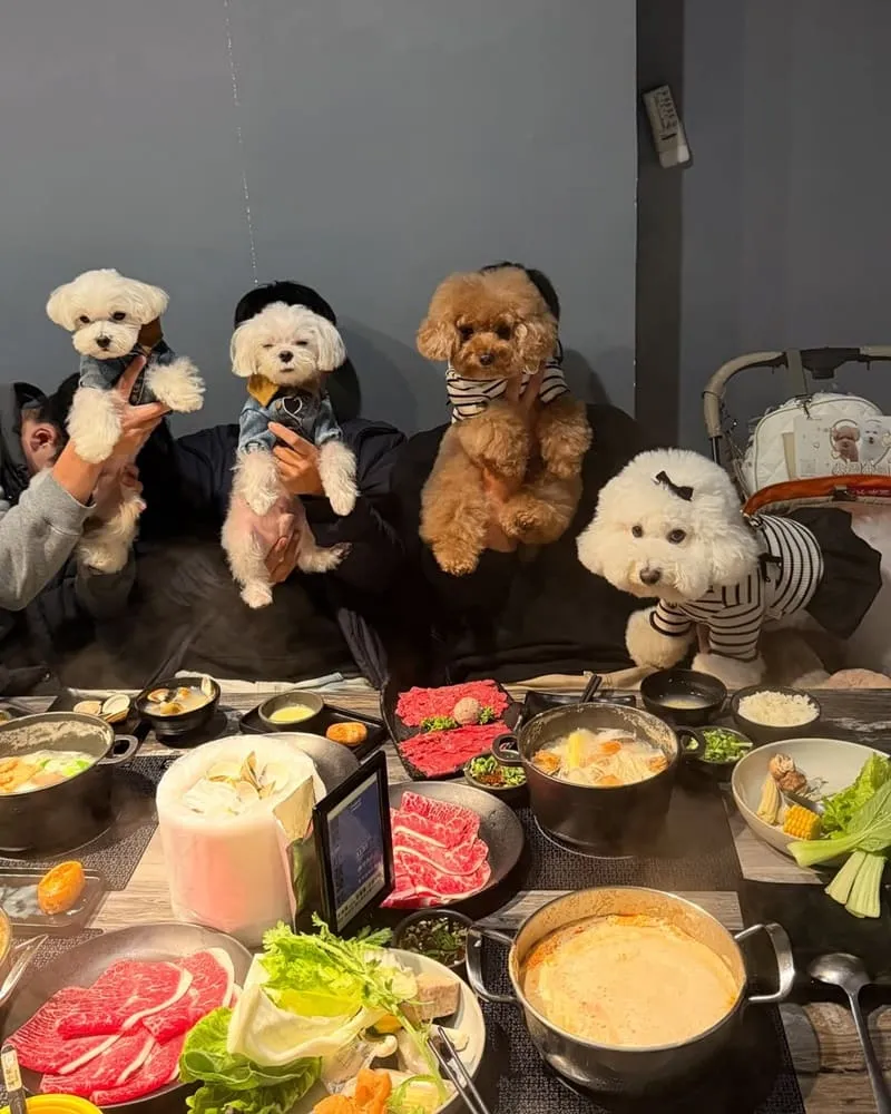 福柒涮涮鍋桃園藝文店