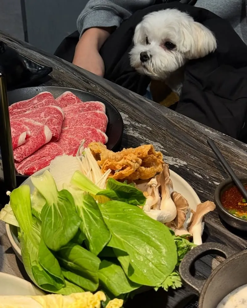 福柒涮涮鍋桃園藝文店