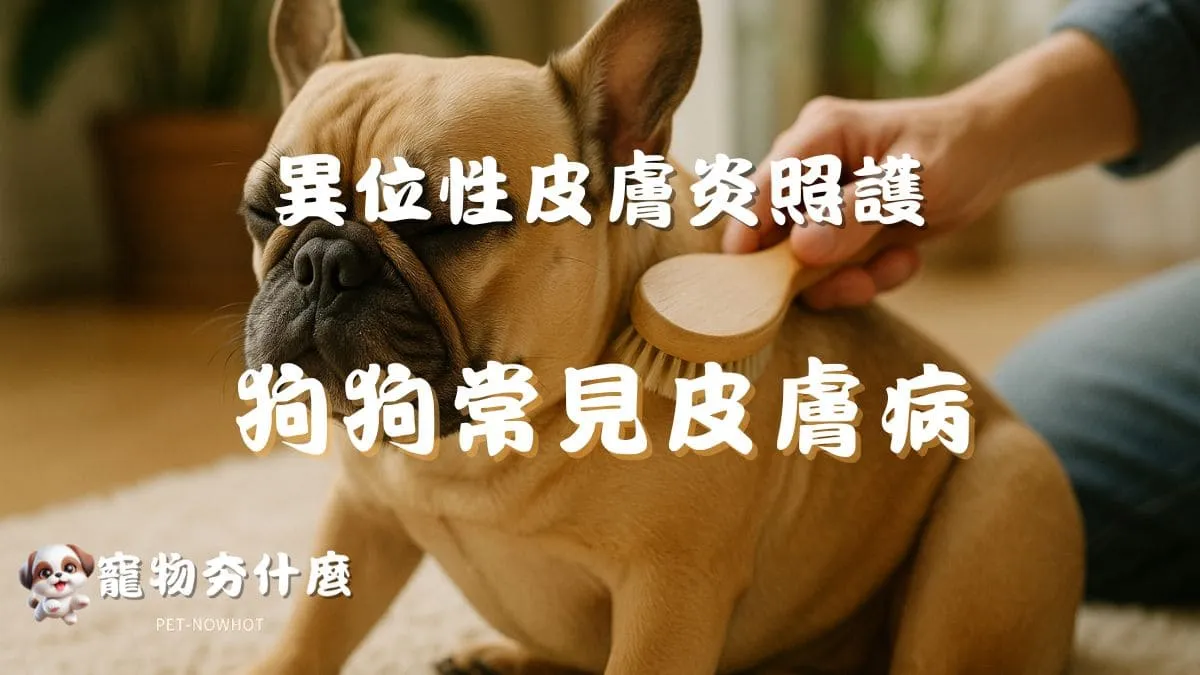 狗狗常見皮膚病整理