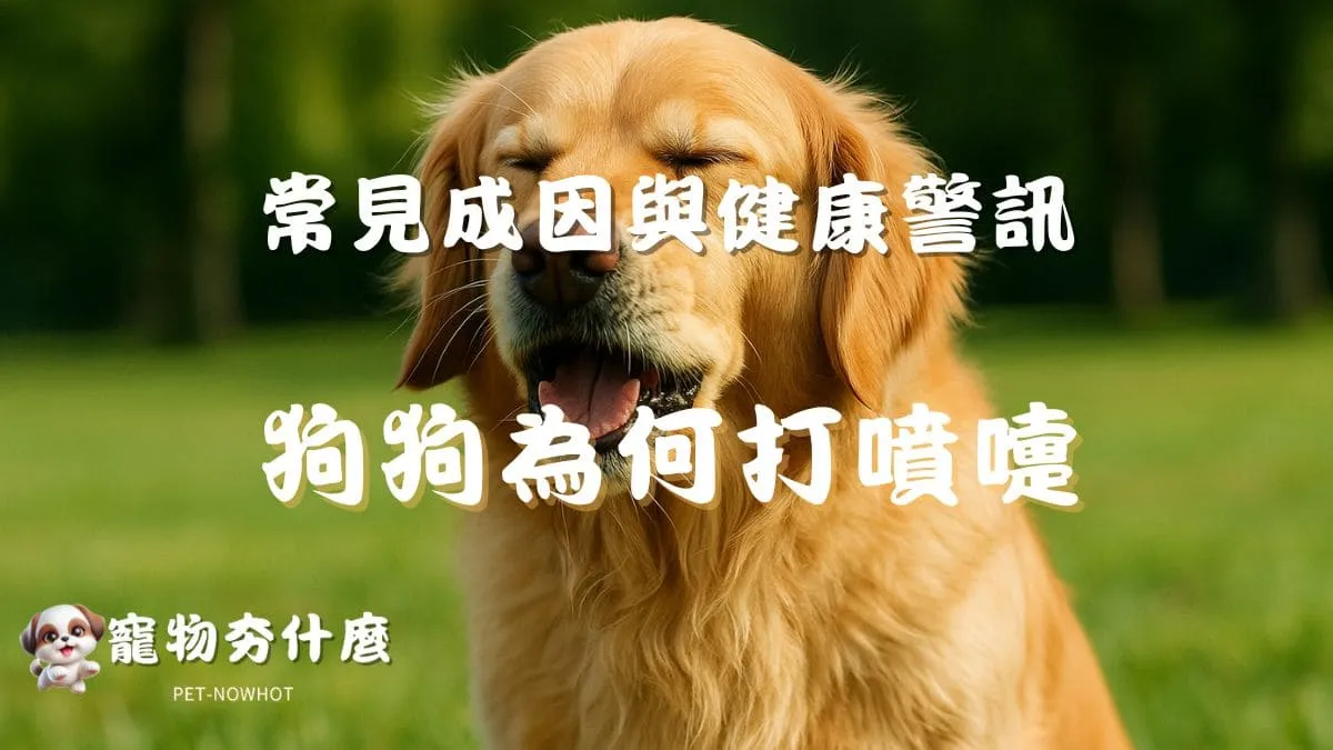 狗狗為何打噴嚏？