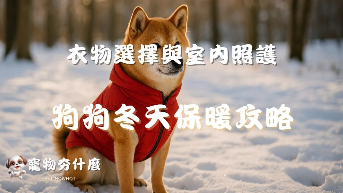 狗狗冬天保暖全攻略