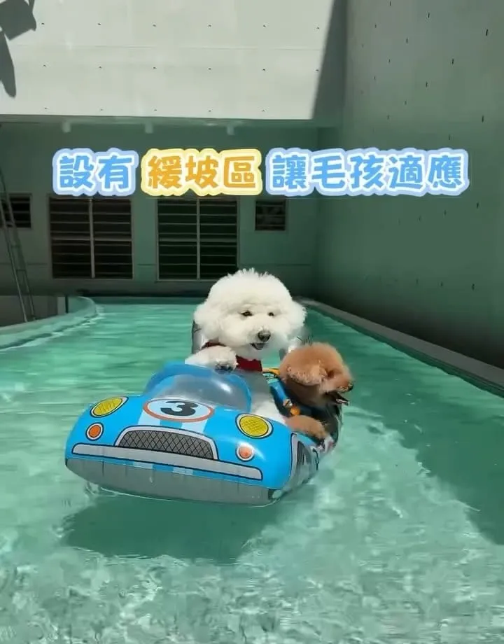 多野樂旅館 Dogether Hotel