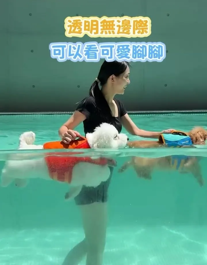 多野樂旅館 Dogether Hotel