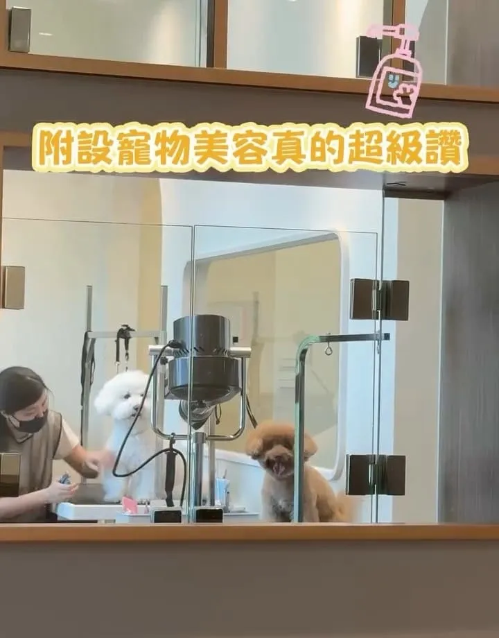 多野樂旅館 Dogether Hotel