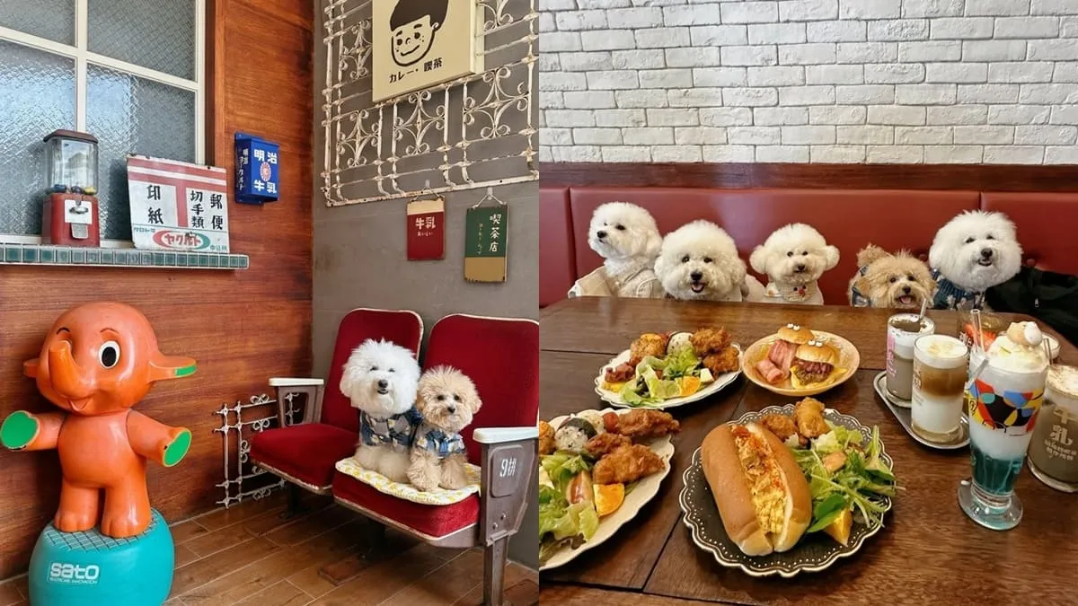 豆弄とろ昭和喫茶風早午餐