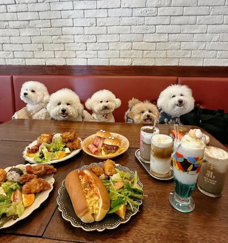 豆弄とろ昭和喫茶風早午餐