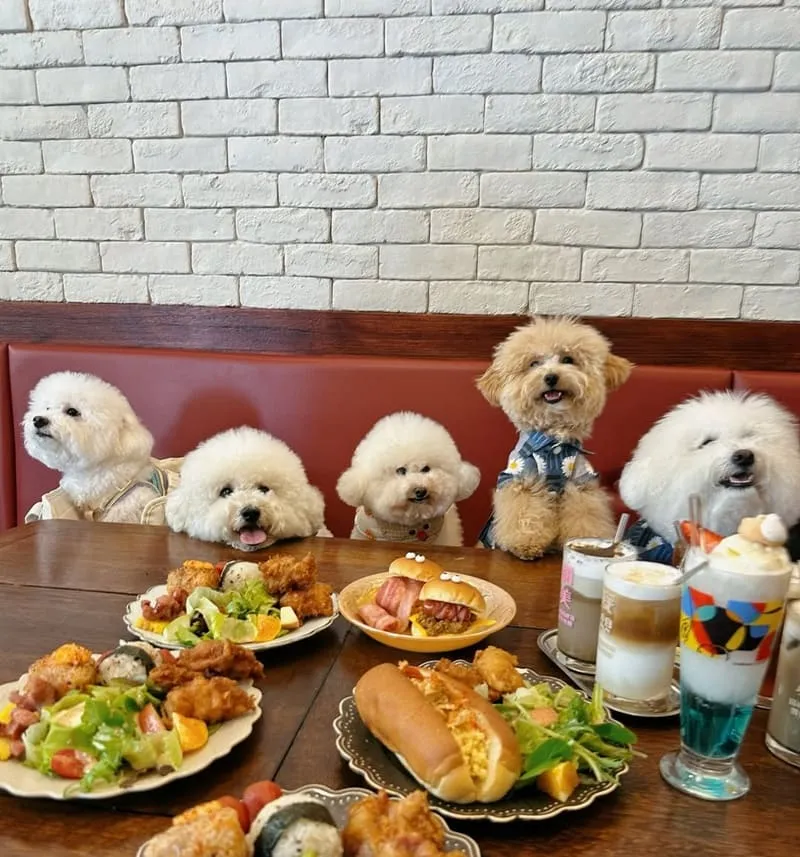 豆弄とろ昭和喫茶風早午餐