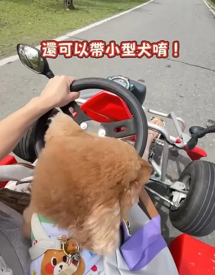 池上嗨咖電動車