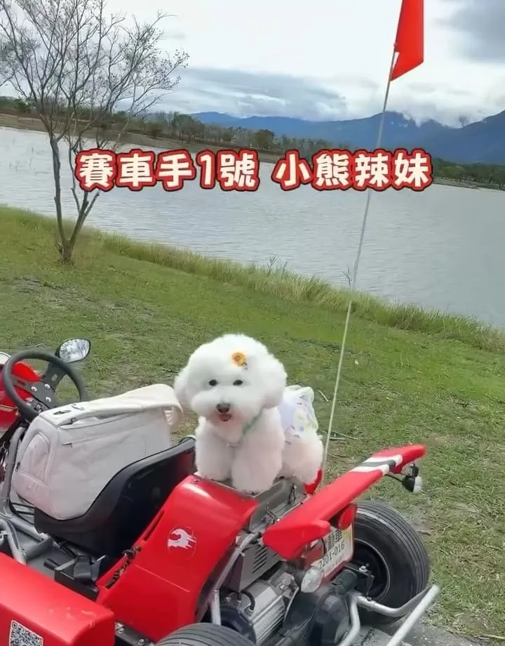 池上嗨咖電動車