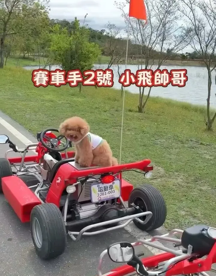 池上嗨咖電動車