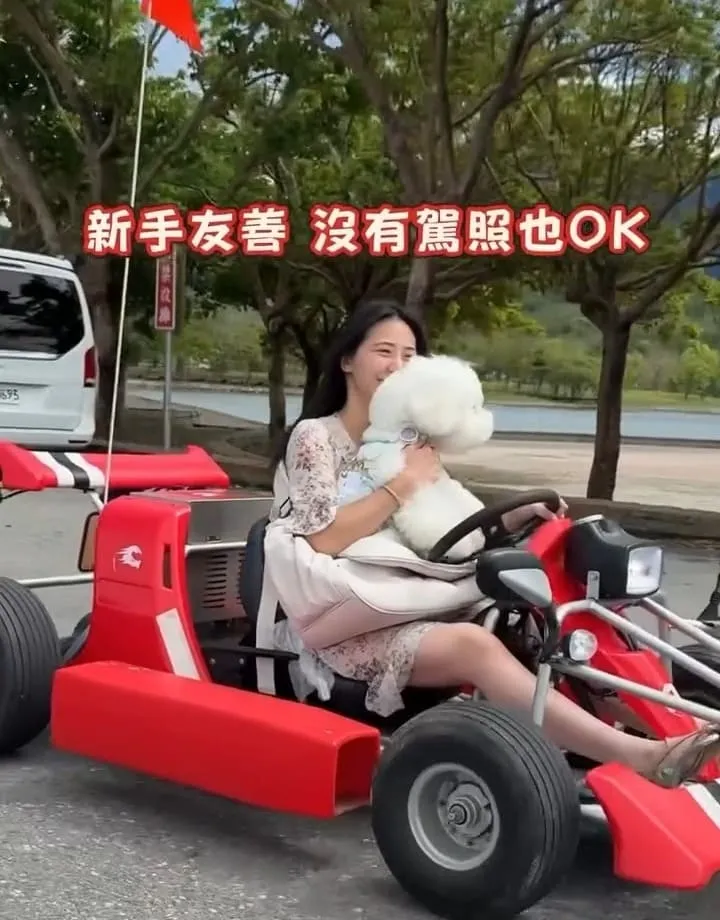 池上嗨咖電動車