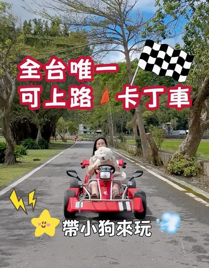 池上嗨咖電動車