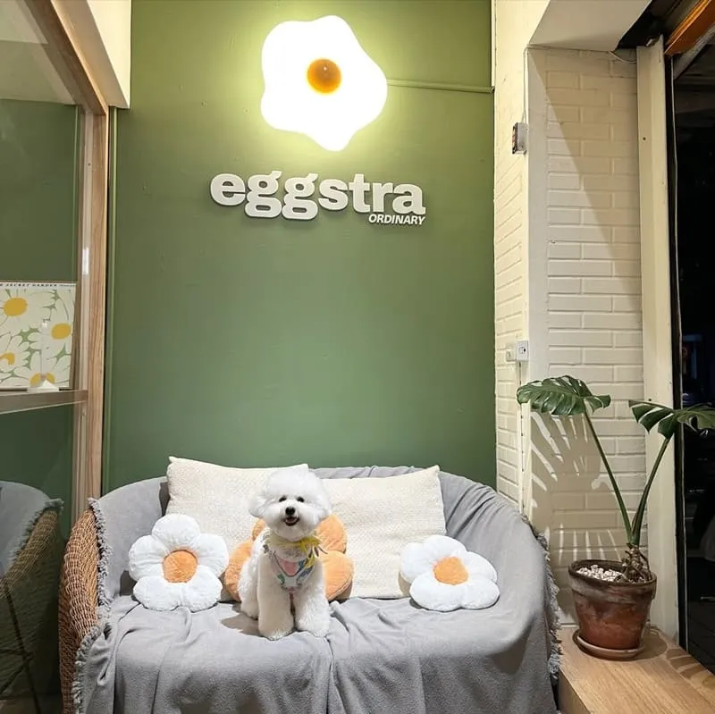 Eggstra-ordinary蛋室