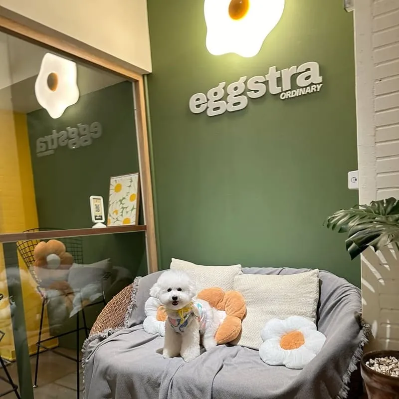 Eggstra-ordinary蛋室
