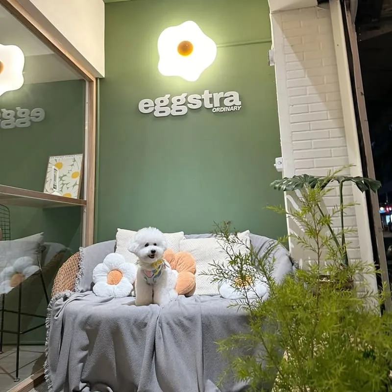 Eggstra-ordinary蛋室